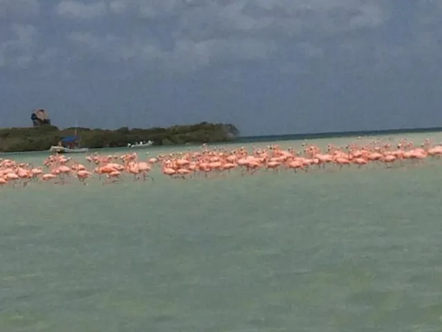 Hostal Holbox 0*, Isla Holbox